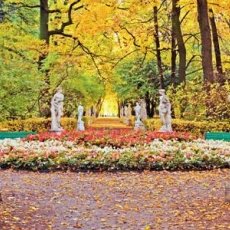 Открытие Летнего сада на Неве