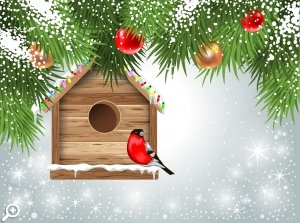 Благотворительная Новогодняя Елка в Гостином дворе