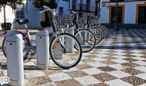 прокат велосипедов в парке сосновка