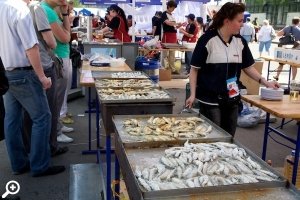 Праздник корюшки 2013 в Питере