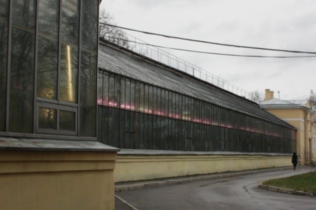 Ботанический музей в Санкт Петербурге