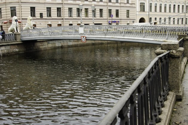 Львы на львином мосту в Санкт Петербурге