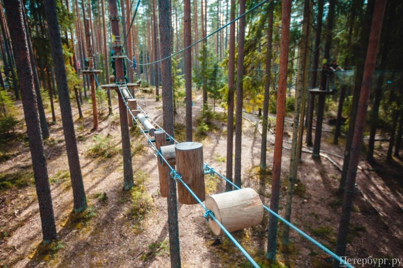 Полоса препятствий: лучшие веревочные парки в Петербурге