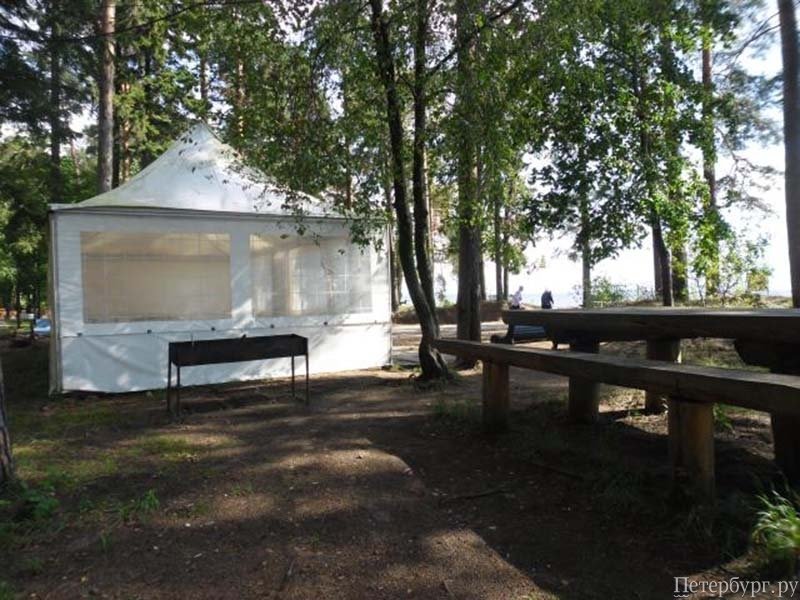 Шашлыкомания: все, что вы хотели знать о приготовлении шашлыка в Петербурге, но не знали у кого спросить