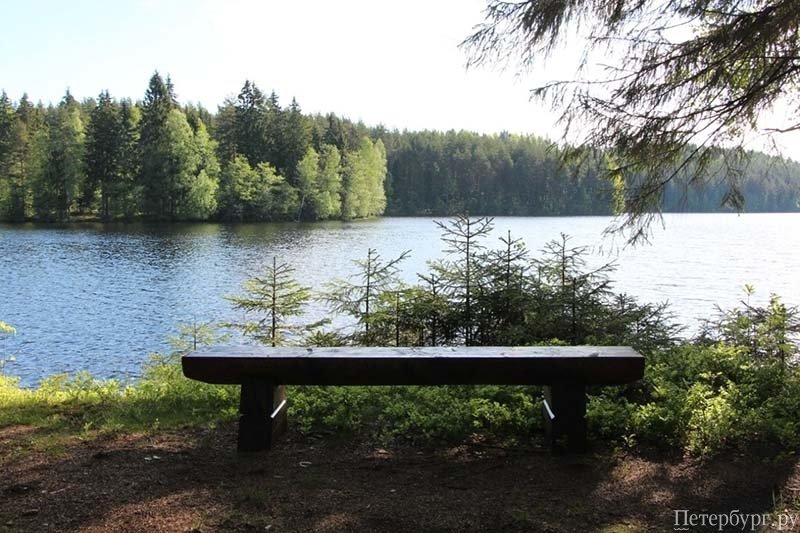 Шашлыкомания: все, что вы хотели знать о приготовлении шашлыка в Петербурге, но не знали у кого спросить