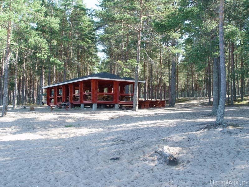 Шашлыкомания: все, что вы хотели знать о приготовлении шашлыка в Петербурге, но не знали у кого спросить