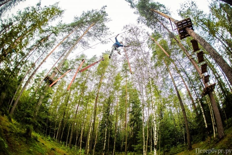 Полоса препятствий: лучшие веревочные парки в Петербурге